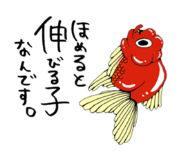 There a goldfish sticker #5858896