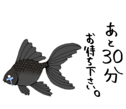 There a goldfish sticker #5858906