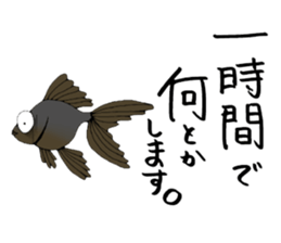 There a goldfish sticker #5858907