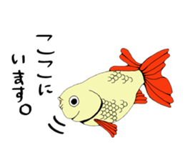 There a goldfish sticker #5858910