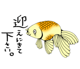 There a goldfish sticker #5858915