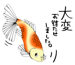 There a goldfish sticker #5858918