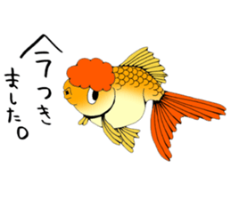 There a goldfish sticker #5858928