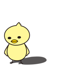 chick is surprised sticker #5859444