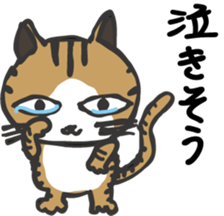 Pretty cats&cats 2 sticker #5860485