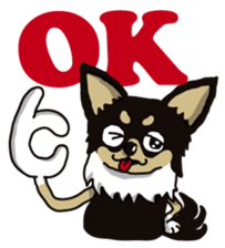 A golf of Chihuahua "CICCI" (English) sticker #5860530