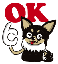 A golf of Chihuahua "CICCI" (English) sticker #5860530