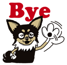 A golf of Chihuahua "CICCI" (English) sticker #5860533