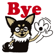 A golf of Chihuahua "CICCI" (English) sticker #5860533