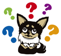 A golf of Chihuahua "CICCI" (English) sticker #5860534