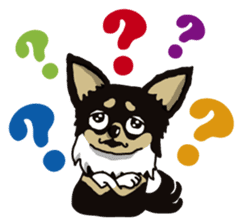 A golf of Chihuahua "CICCI" (English) sticker #5860534