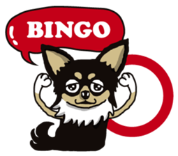 A golf of Chihuahua "CICCI" (English) sticker #5860535