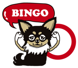 A golf of Chihuahua "CICCI" (English) sticker #5860535