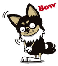 A golf of Chihuahua "CICCI" (English) sticker #5860538