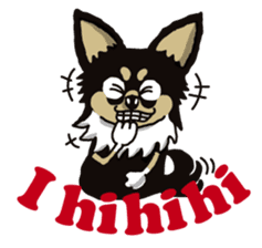 A golf of Chihuahua "CICCI" (English) sticker #5860540