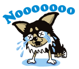 A golf of Chihuahua "CICCI" (English) sticker #5860541