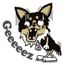 A golf of Chihuahua "CICCI" (English) sticker #5860542