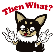 A golf of Chihuahua "CICCI" (English) sticker #5860544