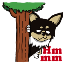 A golf of Chihuahua "CICCI" (English) sticker #5860546