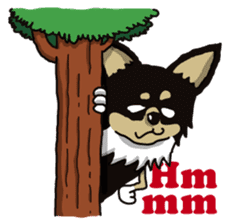 A golf of Chihuahua "CICCI" (English) sticker #5860546