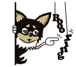 A golf of Chihuahua "CICCI" (English) sticker #5860547