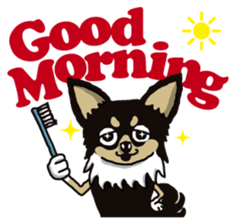 A golf of Chihuahua "CICCI" (English) sticker #5860548