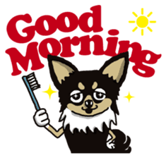 A golf of Chihuahua "CICCI" (English) sticker #5860548