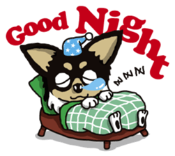 A golf of Chihuahua "CICCI" (English) sticker #5860549