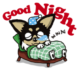 A golf of Chihuahua "CICCI" (English) sticker #5860549