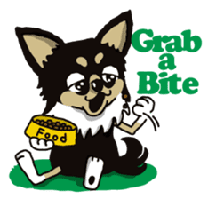 A golf of Chihuahua "CICCI" (English) sticker #5860550