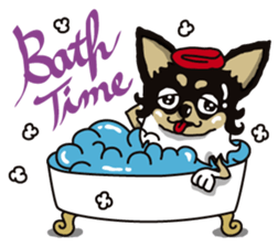 A golf of Chihuahua "CICCI" (English) sticker #5860552