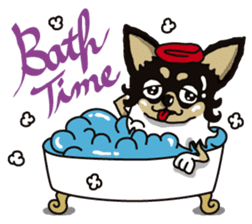 A golf of Chihuahua "CICCI" (English) sticker #5860552