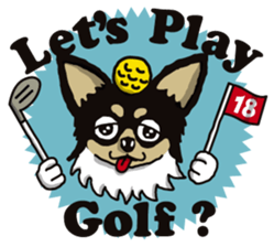 A golf of Chihuahua "CICCI" (English) sticker #5860557