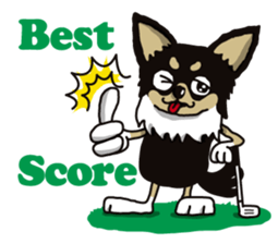 A golf of Chihuahua "CICCI" (English) sticker #5860560