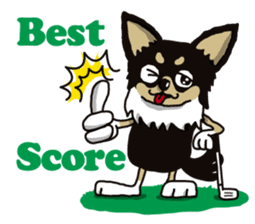 A golf of Chihuahua "CICCI" (English) sticker #5860560