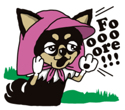 A golf of Chihuahua "CICCI" (English) sticker #5860564