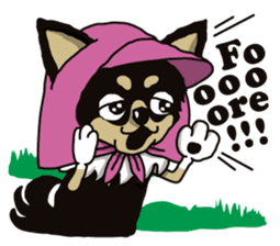 A golf of Chihuahua "CICCI" (English) sticker #5860564