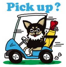 A golf of Chihuahua "CICCI" (English) sticker #5860565