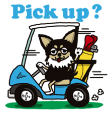 A golf of Chihuahua "CICCI" (English) sticker #5860565