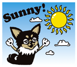 A golf of Chihuahua "CICCI" (English) sticker #5860567