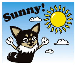 A golf of Chihuahua "CICCI" (English) sticker #5860567