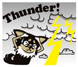 A golf of Chihuahua "CICCI" (English) sticker #5860569