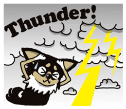 A golf of Chihuahua "CICCI" (English) sticker #5860569