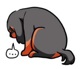 Cavalier KCS Blenheim+Tricolor+Ruby+B&T sticker #5862373