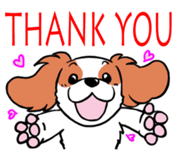 Cavalier KCS Blenheim+Tricolor+Ruby+B&T sticker #5862374