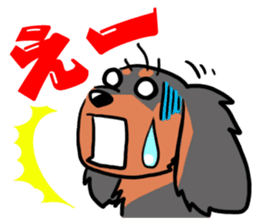 Cavalier KCS Blenheim+Tricolor+Ruby+B&T sticker #5862377