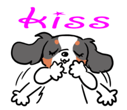 Cavalier KCS Blenheim+Tricolor+Ruby+B&T sticker #5862383