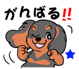 Cavalier KCS Blenheim+Tricolor+Ruby+B&T sticker #5862385