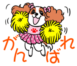 Cavalier KCS Blenheim+Tricolor+Ruby+B&T sticker #5862386