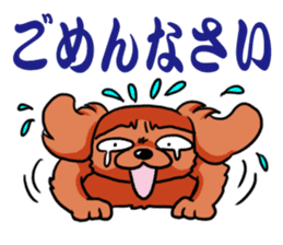 Cavalier KCS Blenheim+Tricolor+Ruby+B&T sticker #5862388